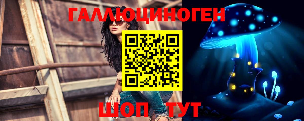 Галлюциногенные грибы Psilocybe Сургут